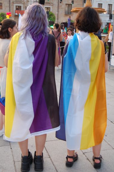 Dos personas con banderas a la espalda. Una lleva una bandera no binarie y la otra una bandera aroace