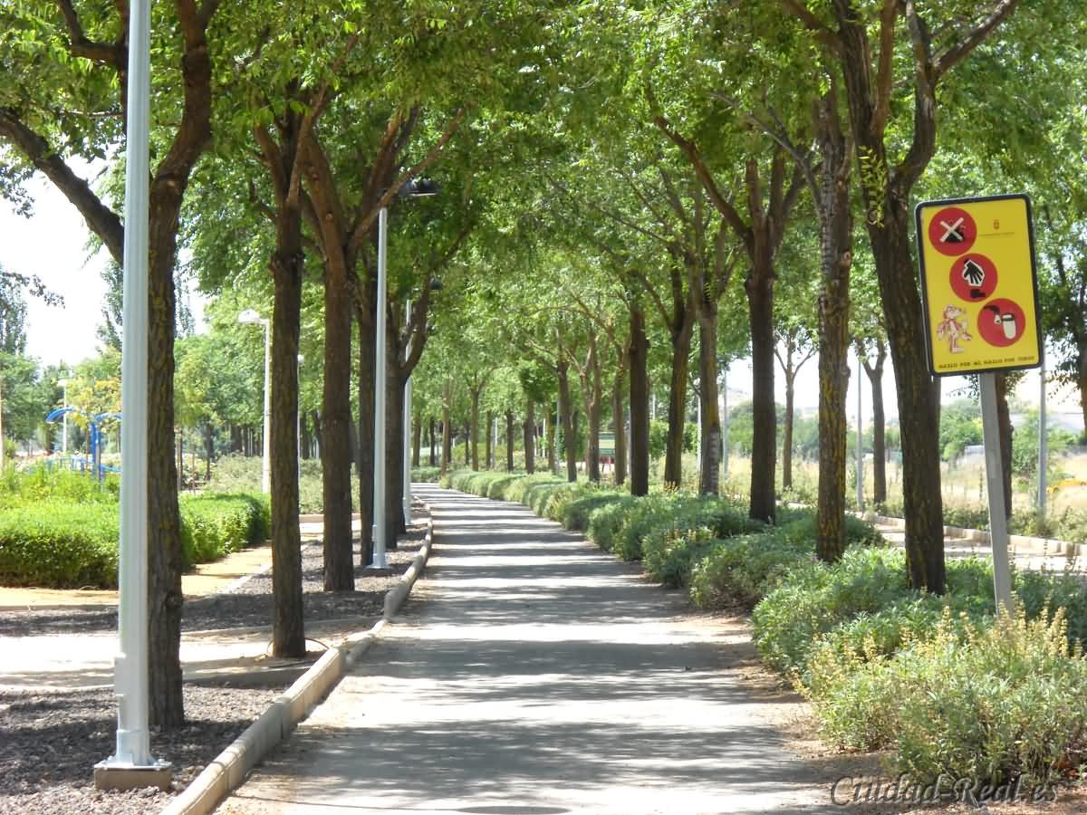 Amnistía Internacional y Oxigena2 organizan una ruta senderista para conmemorar el Día Internacional de los Derechos Humanos en Ciudad Real Amnistía Internacional y Oxigena2 organizan una ruta senderista para conmemorar el Día Internacional de los Derechos Humanos en Ciudad Real